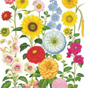 how to grow flowers for cutting