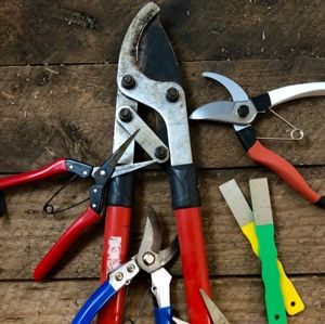 which pruner shears