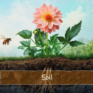 soil health and the ground up method
