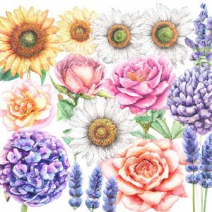how to pick annuals vs perennials