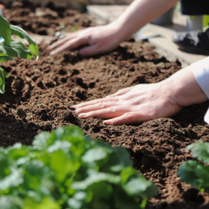 Soil types and texture