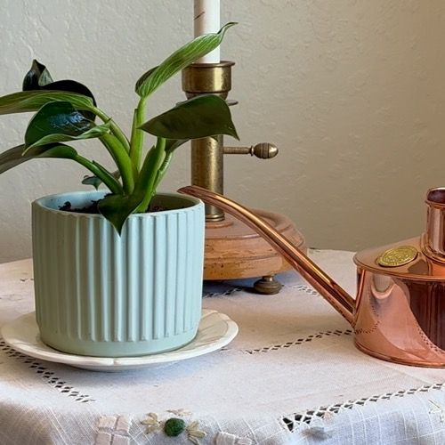 master gardener videos