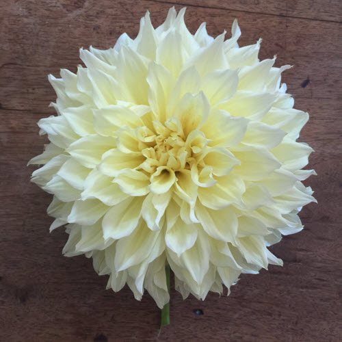 raised bed garden tools Archives The Celtic Farm