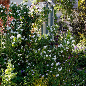 Cottage Garden Design Attributes