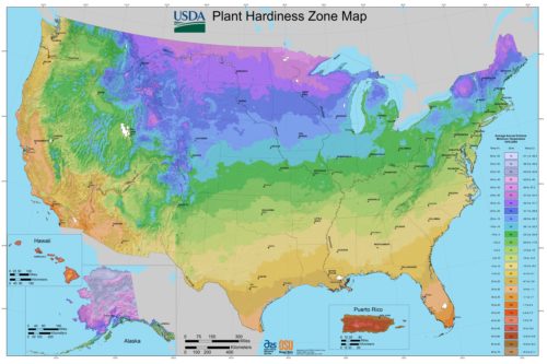 What hardiness zone am i in. for planting?