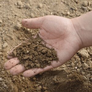 Soil in the raised garden bed