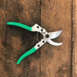 Secateurs or Pruners