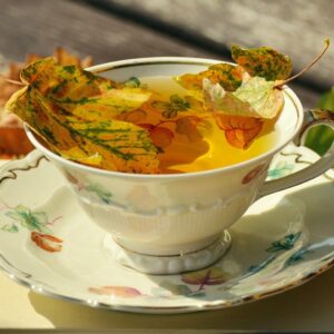 Fall Gift Ideas for the Gardener