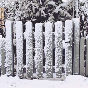 A checklist for the winter garden in December