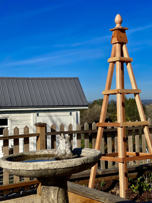 Garden Obelisk or Tuteur