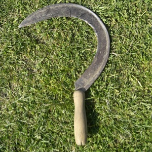Sickle