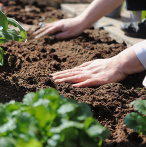 Soil types and texture