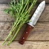 The Hori Hori Knife: Your Spring Garden Companion