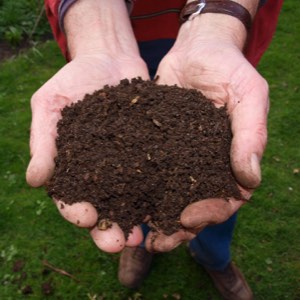 How to Compost