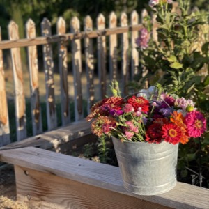raised bed gardens