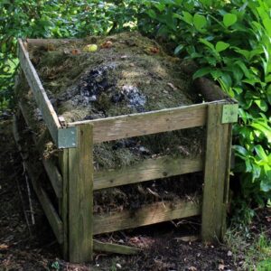 compost pile