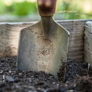 what to do in the garden in fall