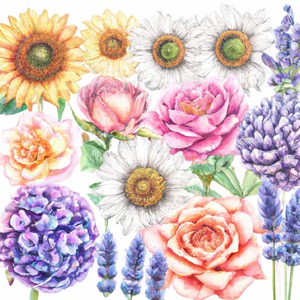 how to pick annuals vs perennials
