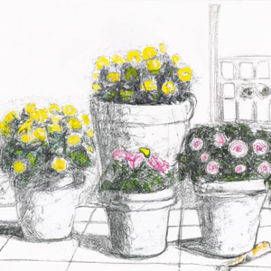 container gardens