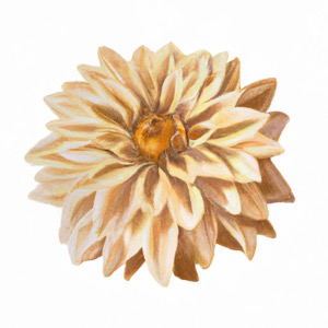 dahlia faq