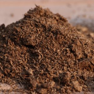 guide to peat moss