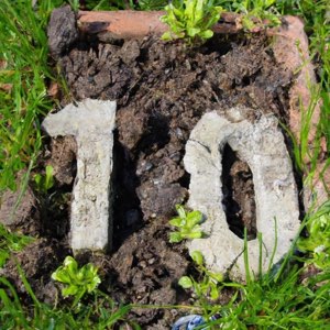 10 tips for new gardeners