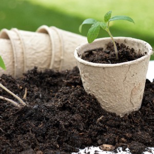 about potting soil