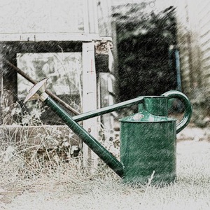 garden watering tips