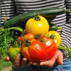 growing vegetables