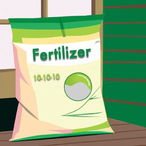 most common fertilizer q&a