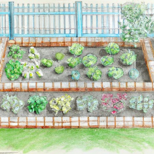 low maintenance gardening