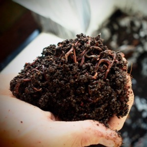 natural fertilizer