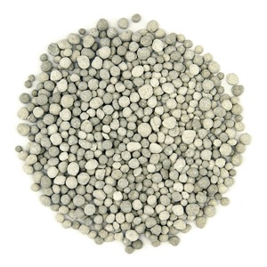 what is tsp?