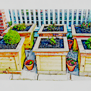 small space garden tips