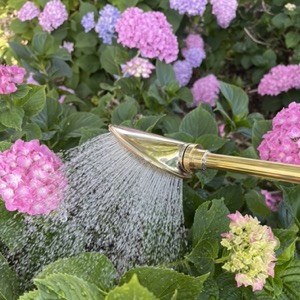 haws watering wand