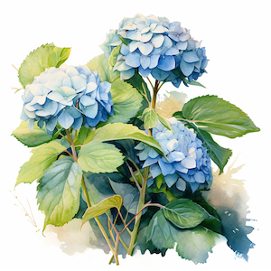 the meaning of wilting in the garden