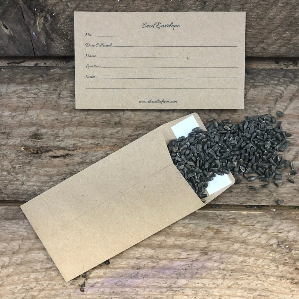 seed collecting envelopes