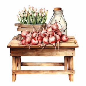 all about bulbs
