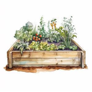 what wood should i use for raised beds