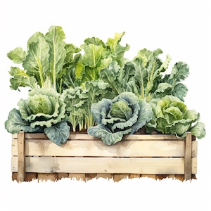 what to plant in winter vegetables