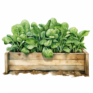september planting