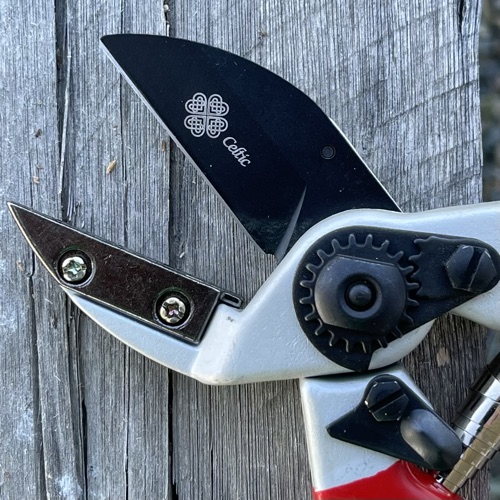 anvil pruners are best for cutting old wood