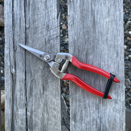 Snips are best for cutting herbs, flowers and fruit