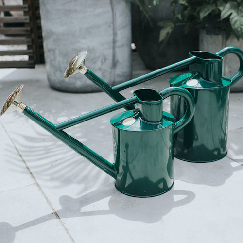 Choosing the Best Haws Watering Can A Comprehensive Guide for Gardeners