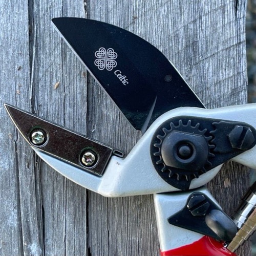 anvil pruners