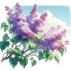 Lilac Garden Guide