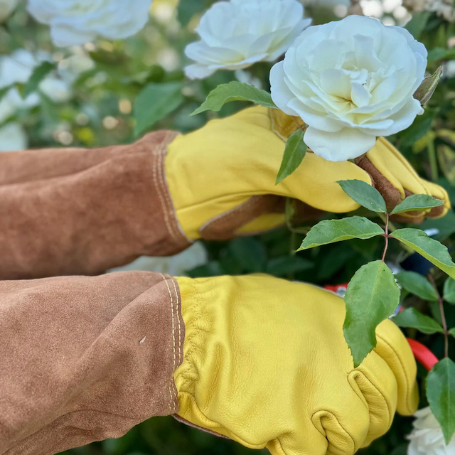best gloves for pruning