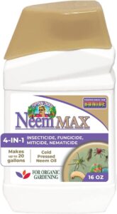 All about leaf powder mildew