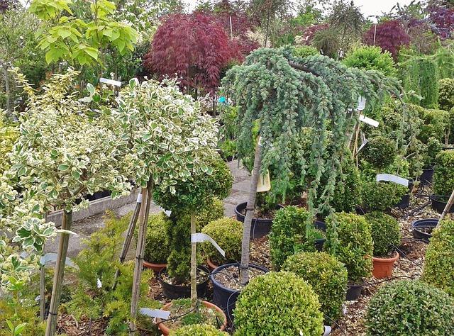 local nursery near me
