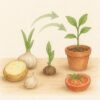 Regrow Your Groceries: A Guide to Planting 7 Kitchen Scraps